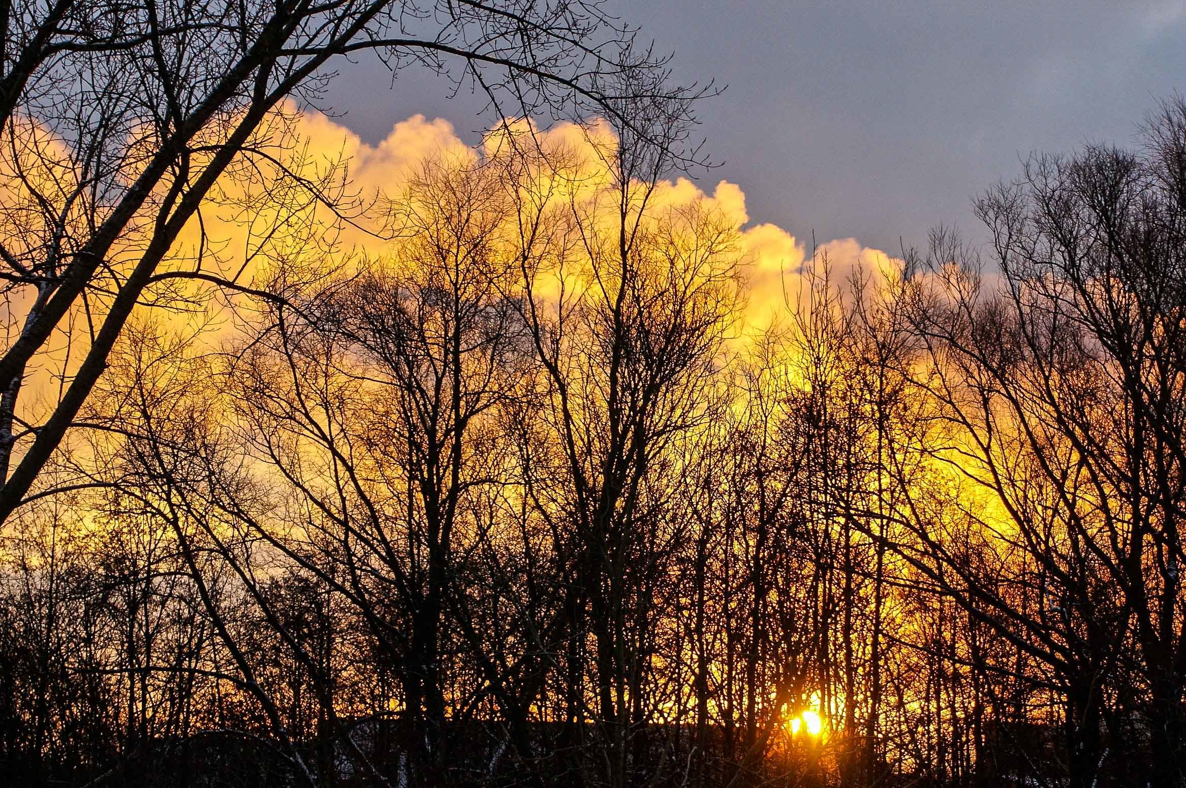 Sonnenaufgang Glückstadt #09622
