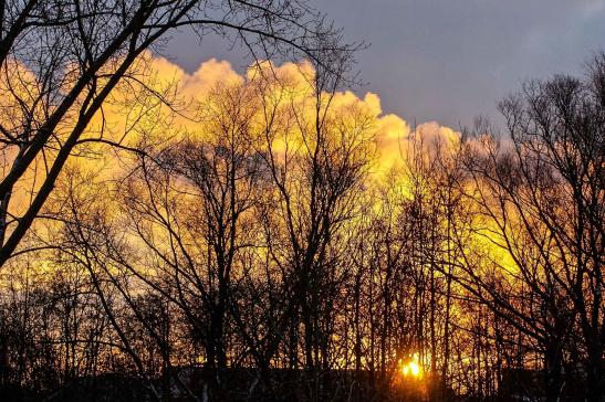Sonnenaufgang Glückstadt #09622