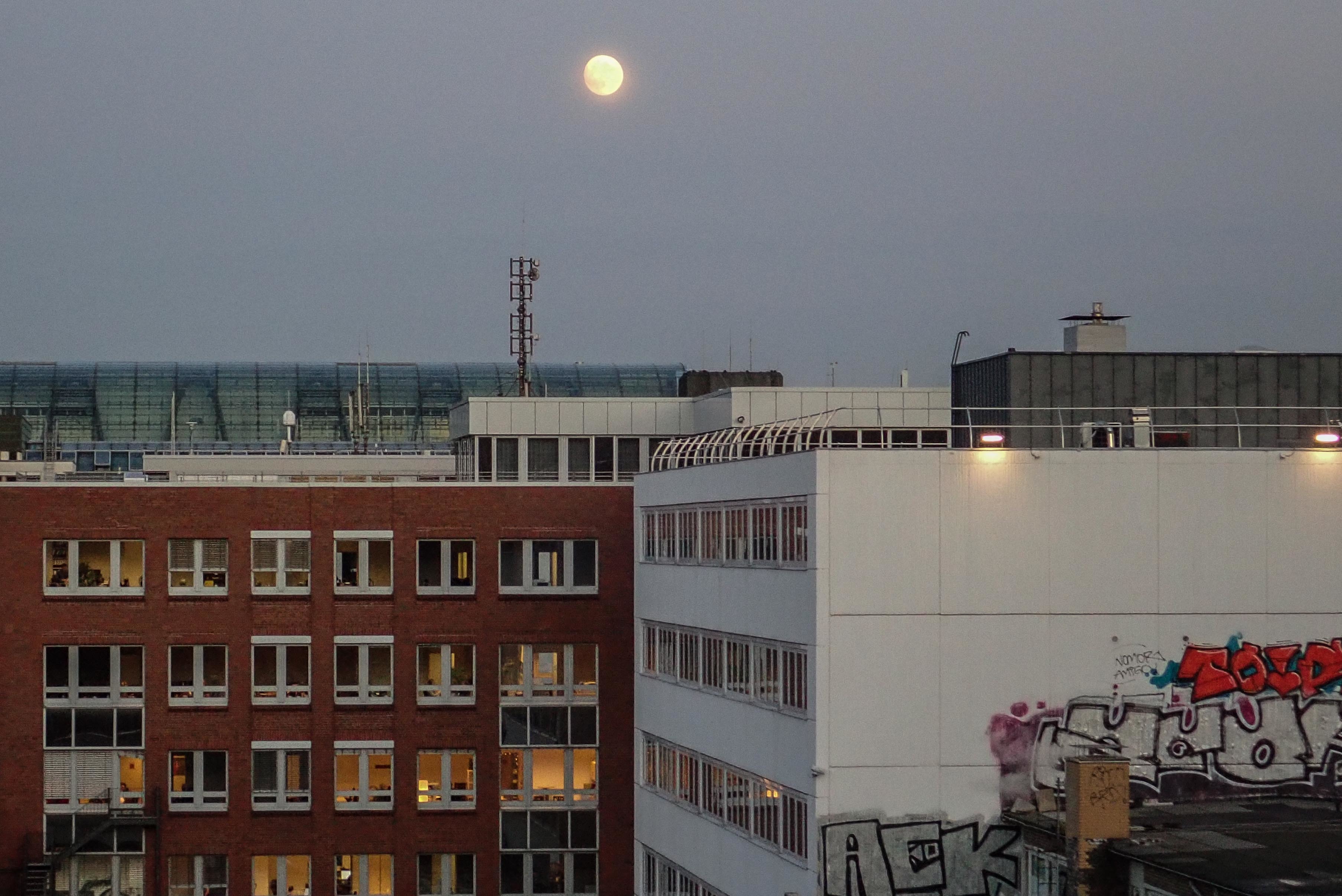 Hamburg #10017