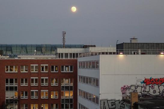 Hamburg #10017