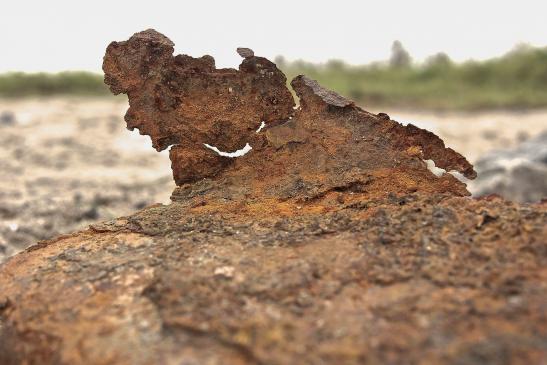 Rost #02511