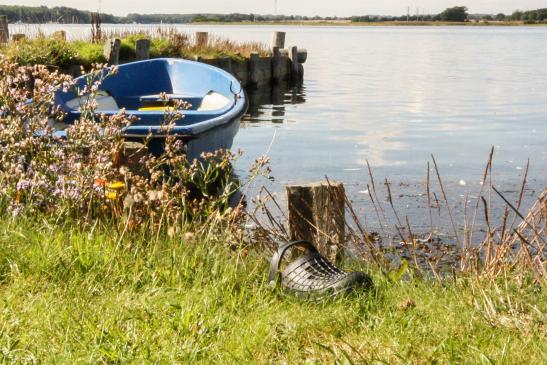 Schlei bei Maasholm, Schleswig Holstein #9162